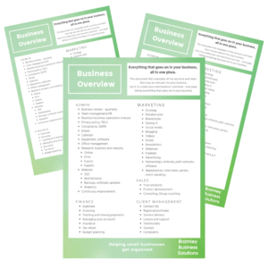 Business Overview image of the download